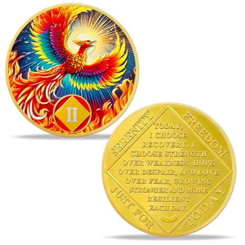 Pièce de sobriété de 2 ans | Nouvelle pièce de monnaie Radiance Phoenix NA – Médaillon NA puce HA AA avec prière de sérénité | Narcotiques Alcooliques Anonymes Cadeaux pour homme femme anniversaire en
