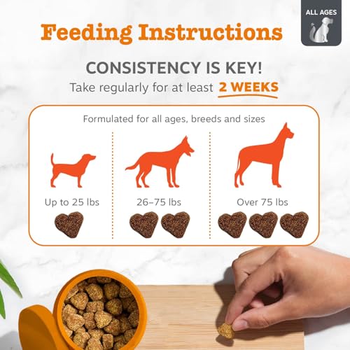 Image of Zesty Paws Vet Strength Allergy Immune Bites - Dog Allergy Chews, Dog Probiotics for Itchy Skin and Ears, Smoked Cheese, 90ct (Pack of 2)