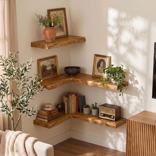 Image of Fun Memories 16 inch Wall Mounted Floating Shelves, Natural Elm Wood, 2 Pack