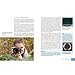 Sony A7 V - Das umfangreiche Praxisbuch zu Ihrer Kamera: Know-how und Tipps von Profifotografen, verständliche Anleitungen und praxisnahe Beispiele für perfekte Fotos und Videos