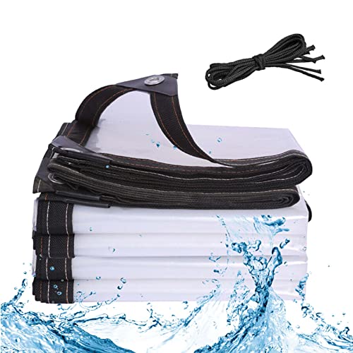 RGRE Bâche Transparente Imperméable avec Œillets 1x1m, Bâche De Protection en PVC, Bâche Plastique, Bâche Pliable Et Indéchirable, Bâche Étanche, Toile De Protection Contre Le Froid Cover