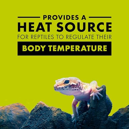 Zilla 100109917 Reptile Terrarium Heat Lamps Incandescent Bulb, Day Blue, 75W - 1
