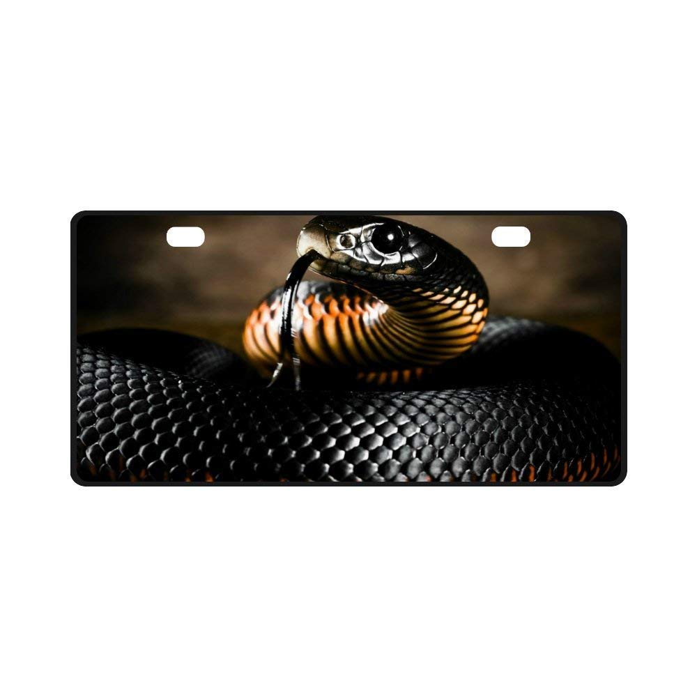 EHAKBLicense Plate Black Mamba Snake Pattern Metal Auto Car Tag 11.8" x 6.1"