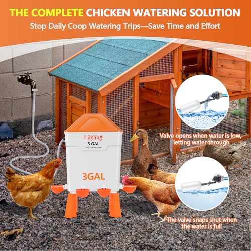 Bebedero de pollo con válvula flotante que termina con el desorden del agua 3