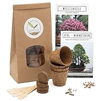 HappySeed Bonsai Starter Kit Anzuchtset inkl. GRATIS eBook - Pflanzset aus Kokostöpfen, Samen & Erde - nachhaltige Geschenkidee für Pflanzenfreunde (Wüstenrose + Berg Mammutbaum)