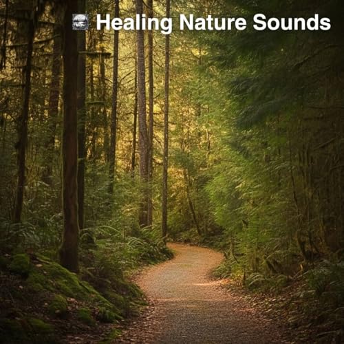 Spiele Healing Nature Sounds von Nature Sounds for Deep Sleep auf ...