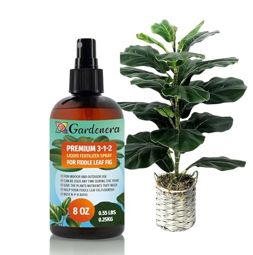 Gardenera Professional Fiddle Leaf FIG Spray Fertilizer Mist for Home Gardening | 3-1-2 Gentle Blend Mist for Healthy Leaves & Growth | Essential Nutrients for Fiddle Leaf Figs - 8oz