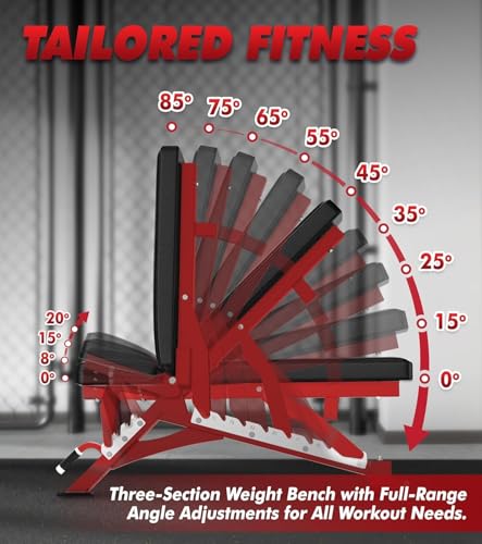 Image of RITFIT Adjustable Weight Bench, Incline Decline Flat, 1300LB Capacity