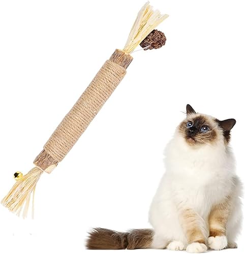 Silvervine Sticks para gatos, juguetes naturales masticables de hierba gatera para limpieza de dientes de gatitos, cuidado dental Matatabi, aumenta