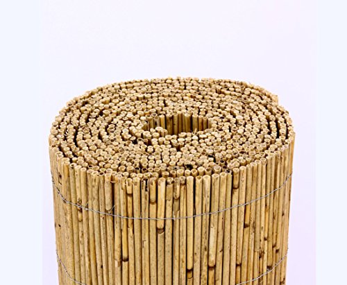 bambus-discount.com Schilfrohrmatten Premium Beach, 160 hoch x 600cm breit Sichtschutz Matten Windschutzmatten – Bild 3