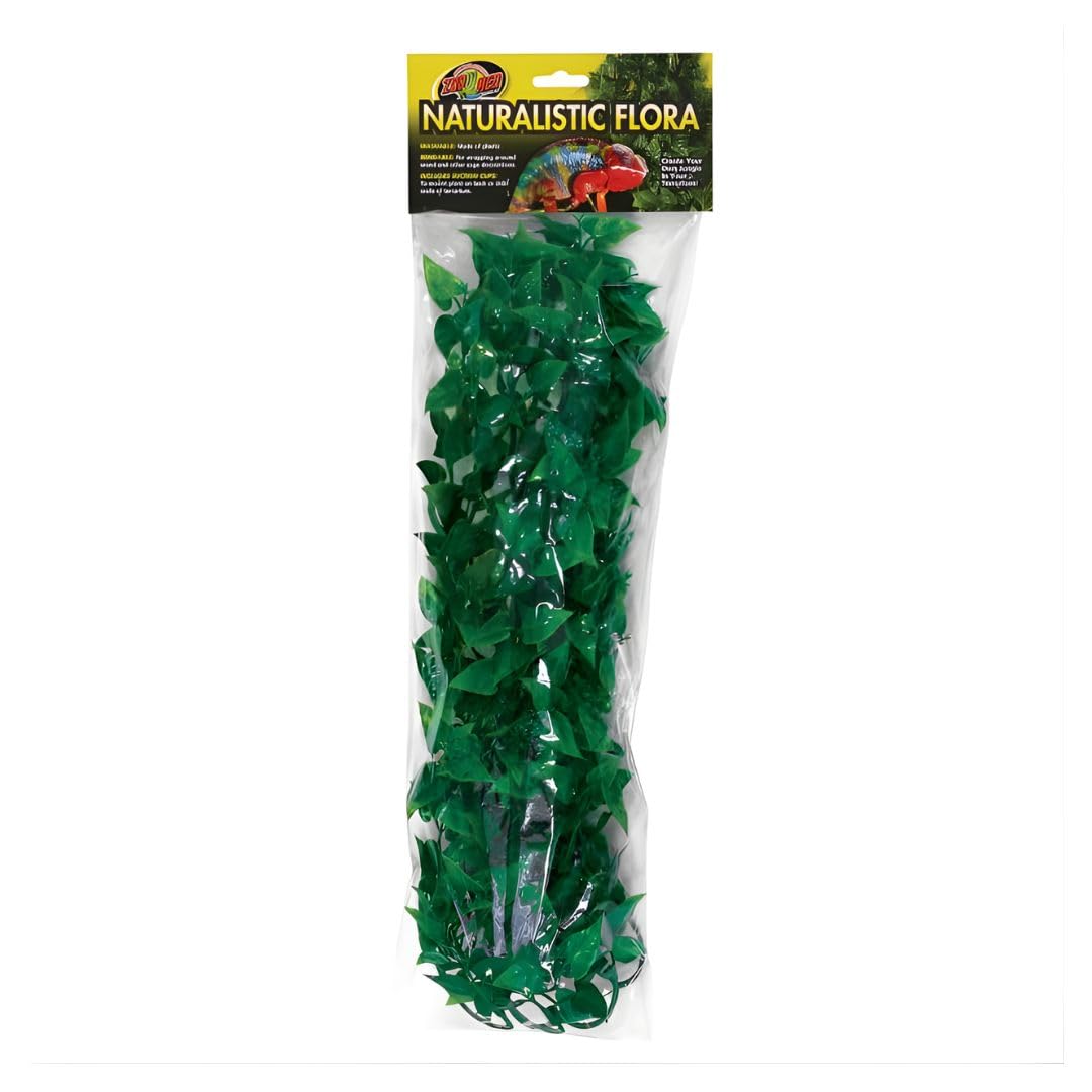 Laboratories SZMBU20 Natural Bushy Mexican Phyllo, Medium