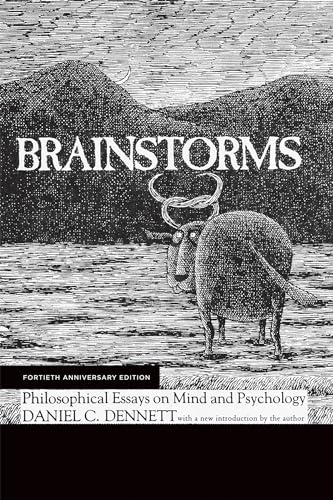 Brainstorms view 2