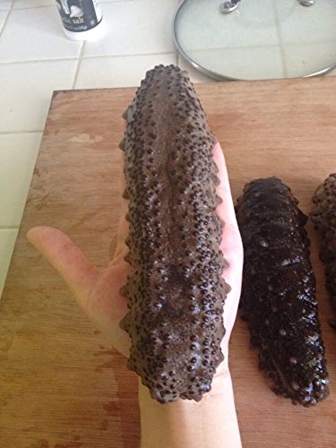 Erlin 1Lb Sun Dried Sea Cucumber Badionotus Extra Large Size #TOP5