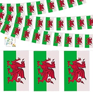 Welsh Flag Bunting 26 ft Long 25 Wales Buntings Banner with Y Ddraig Goch Red Dragon Wales Flags World Cup Decoration for Indoor Outdoor Sporting Events, Celebrating St. Davids Day