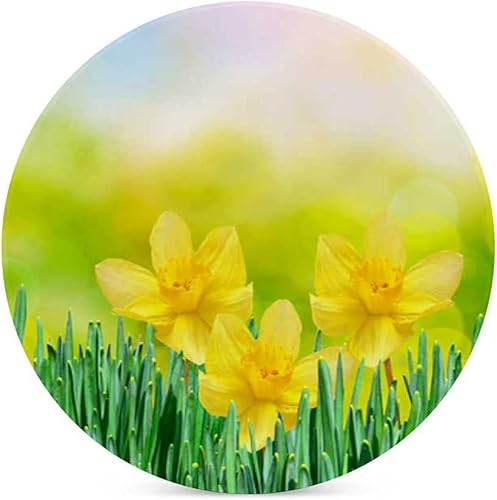 Miniatura 3 de Kuizee Juego de posavasos para bebidas, flores brillantes y coloridas, narcisos de primavera, cerámica, absorbente, apartamento, cocina, habitación,
