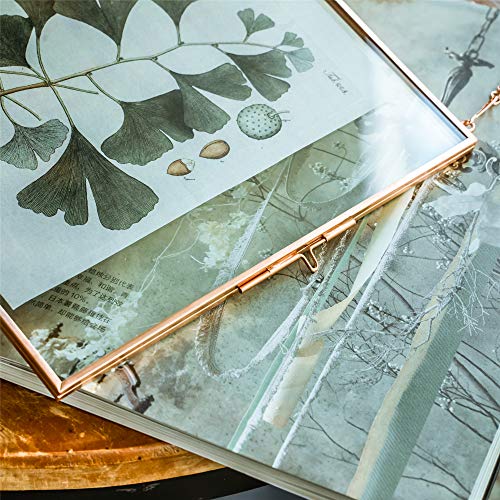 Ncyp Hanging Glass Display Frame For Pressed Dried Flower - 7.87X7.87 Inch, Small Rose Gold Floating Frame For Certificate, Photo, Picture, Plant Specimen - Home Vertical Decor (Glass Frame Only) #TOP3