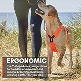 Non-stop dogwear Line Harness 5.0, Gepolstertes Hundegeschirr für kleine, mittlere und große Hunde, gemacht fürs Wandern, Sport und den aktiven Alltag, Größe 6