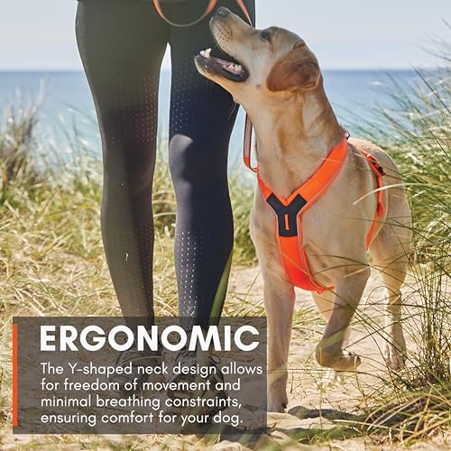 Non-stop dogwear Line Harness 5.0, Gepolstertes Hundegeschirr für kleine, mittlere und große Hunde, gemacht fürs Wandern, Sport und den aktiven Alltag, Größe 6