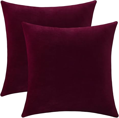 Jeneoo Set of 2 Comfy Soft Thick Velvet Throw Pillow Covers for Sofa Couch Decorative Solid Square Cushion Cases for Bedroom Car (18 x 18 Inches, Burgundy Red)