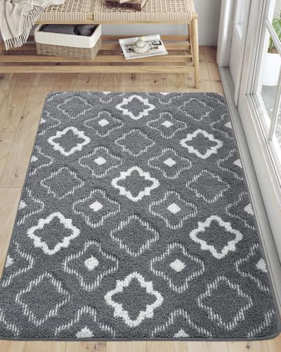 DEXI Door Mats Indoor, Absorbent Non Slip Front Door Rugs for Inside House, Low Profile Easy Clean Entrance Mat, 48"x32", Grey
