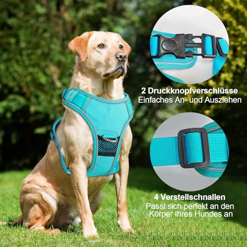 Hundegeschirr Reflektierendes Hundegeschirr mit 1.5m Leine Sicherheitsgeschirr Hund Ausbruchsicher Panikgeschirr für Hunde Verstellbare Leuchtgeschirr für kleine, mittelgroße und große Hunde, S