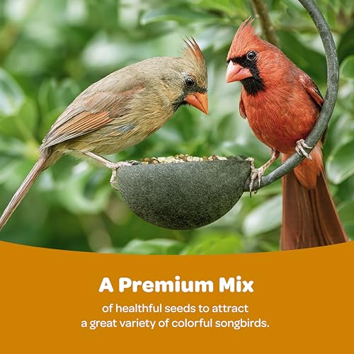 Kaytee Ultimate Wild Finch Blend Wild Bird Food, Attracts Finches & Other Outdoor Wild Birds, 10 Pounds - image 2