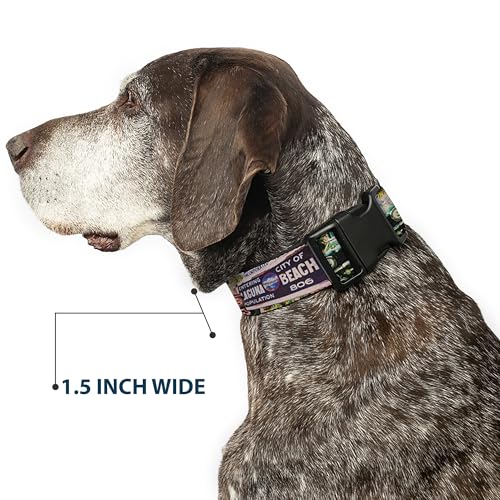 Collier avec clip en plastique Buckle Down sangle de 1,27 cm - 8