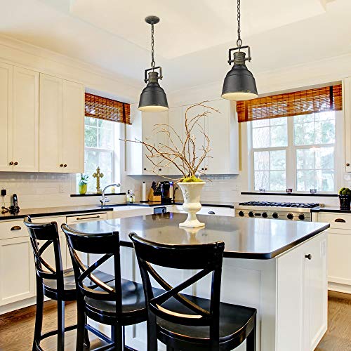 Golden Lighting Quarry 1 Light Pendant Antique Black Iron #TOP3