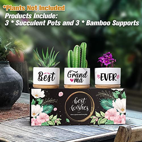 Christmas-Thanksgiving-Gifts-for-Grandma-Grandma-Thoughtful-Gifts-from-Grandchildren-Grandma-Birthday-Gifts-Best-Grandma-Ever-Gifts-from-Granddaughter-or-Grandson-Great-Pots-Gift-Ideas-for-Grandma