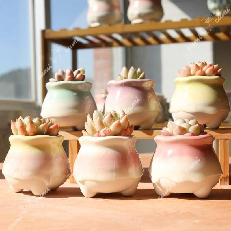 Amazon.co.jp: N0345 韓国 2号 6個セット雫シリーズ H かわいい 窯変