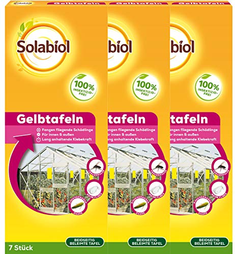 3 x 7 (21 unidades) Bayer natria nevera Amarillo pizarras contra Fliegende plagas