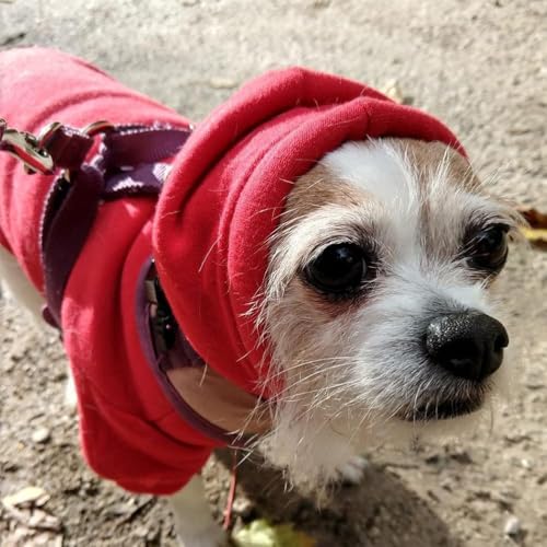 Sweat pour chien imprimé BINGPET pull chaud avec capuche vêtement animaux