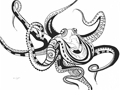 Octopus Pen and Ink Drawing - Print