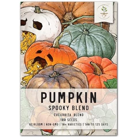 Seed Needs, 100+ Spooky Blend Pumpkin Seeds for Planting (Lumina White, Jack O Lantern, Baby Boo, Blue Jarrahdale, Cinderella & More!) Heirloom, Non-GMO & Untreated Bulk Cover