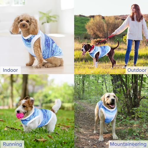 CHONGQILAO Kühlweste für Hunde, Atmungsaktiv Hundekühlweste, Sommer Cool und Bequem Hundemantel für kleine bis mittelgroße Hunde