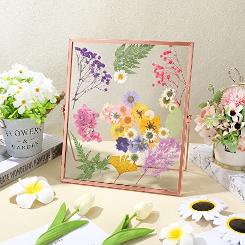 3 Pcs Floating Photo Frame 8 X 10 Inch Antique Gold Geometric Picture Frame With Glass Cover Tabletop Picture Frames Vertical Metal Pressed Glass Picture Frame Gift For Wedding Christmas (Rose Gold) #TOP4