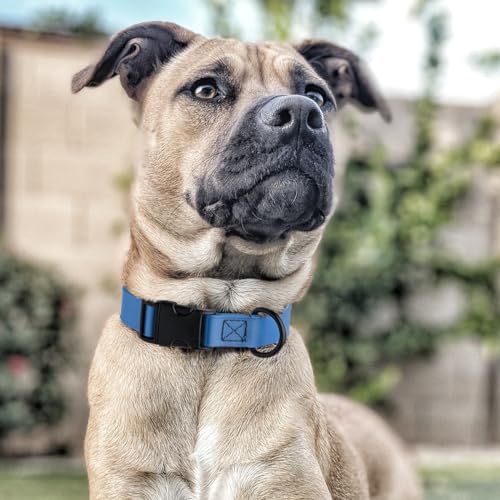 Image of Dogline Biothane Waterproof Dog Collar with Quick Release Buckle Strong Coated Nylon Webbing with Odor- Proof for Easy Care Easy to Clean Fits Small Medium or Large Dogs, Dogline Blue 3 /4 inch W 12-19 inch L
