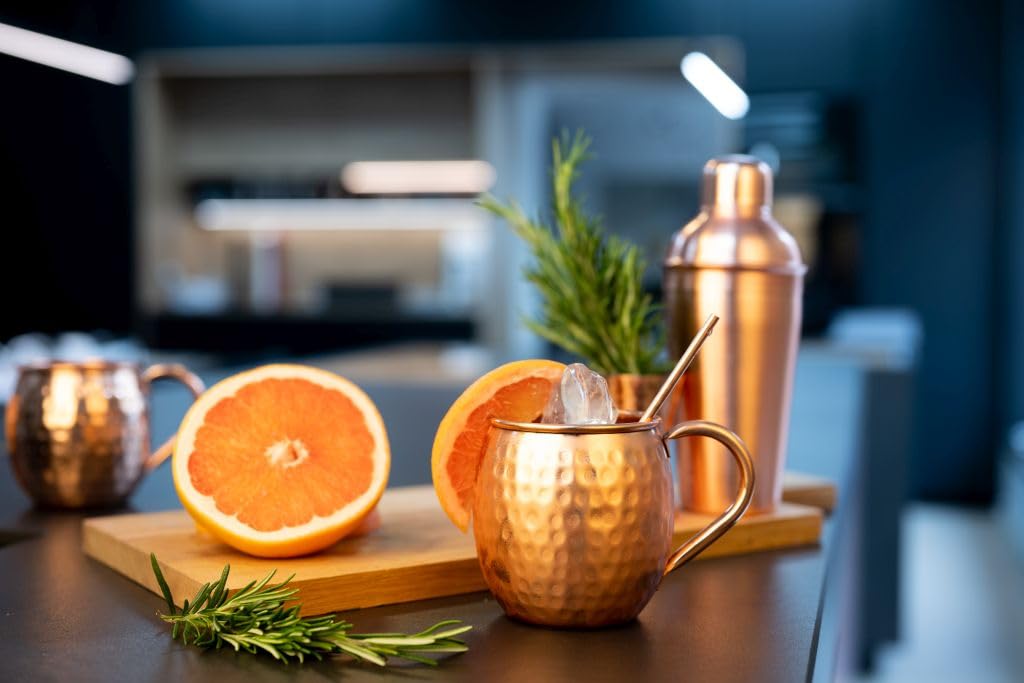 Exclusiv Specter LION 4ER SET copper mug 10 pieces bar set pure copper, noble premium box handmade