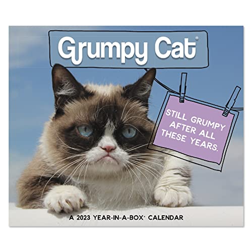 2023 Grumpy Cat Year-In-A-Box Calendar, 12 Months, 4-3/8" X 5" (Lmb2470023) #TOP16