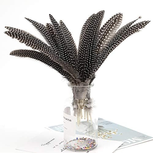 MWOOT 20pcs Natural Spotted Feather, Pheasant Plumage Feathers for Crafts DIY Jewelry, Clothing and Hat Decorations (6-8 Inches)