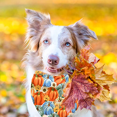 Fall Dog Cat Bandana, Thanksgiving Harvest Pumpkin And Maple Pattern For Large Medium Small Puppies Pets #TOP5