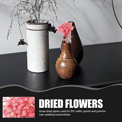 Mini Ramilletes de Flores Secas Eternas para Decoración miniatura 7