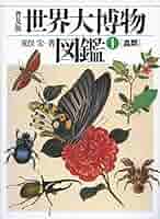 博物図鑑1958年（ドイツ）192枚の昆虫図版ボタニカルアート ドイツ アンティークプリント 『博物誌』畑の雑草 ボタニカル