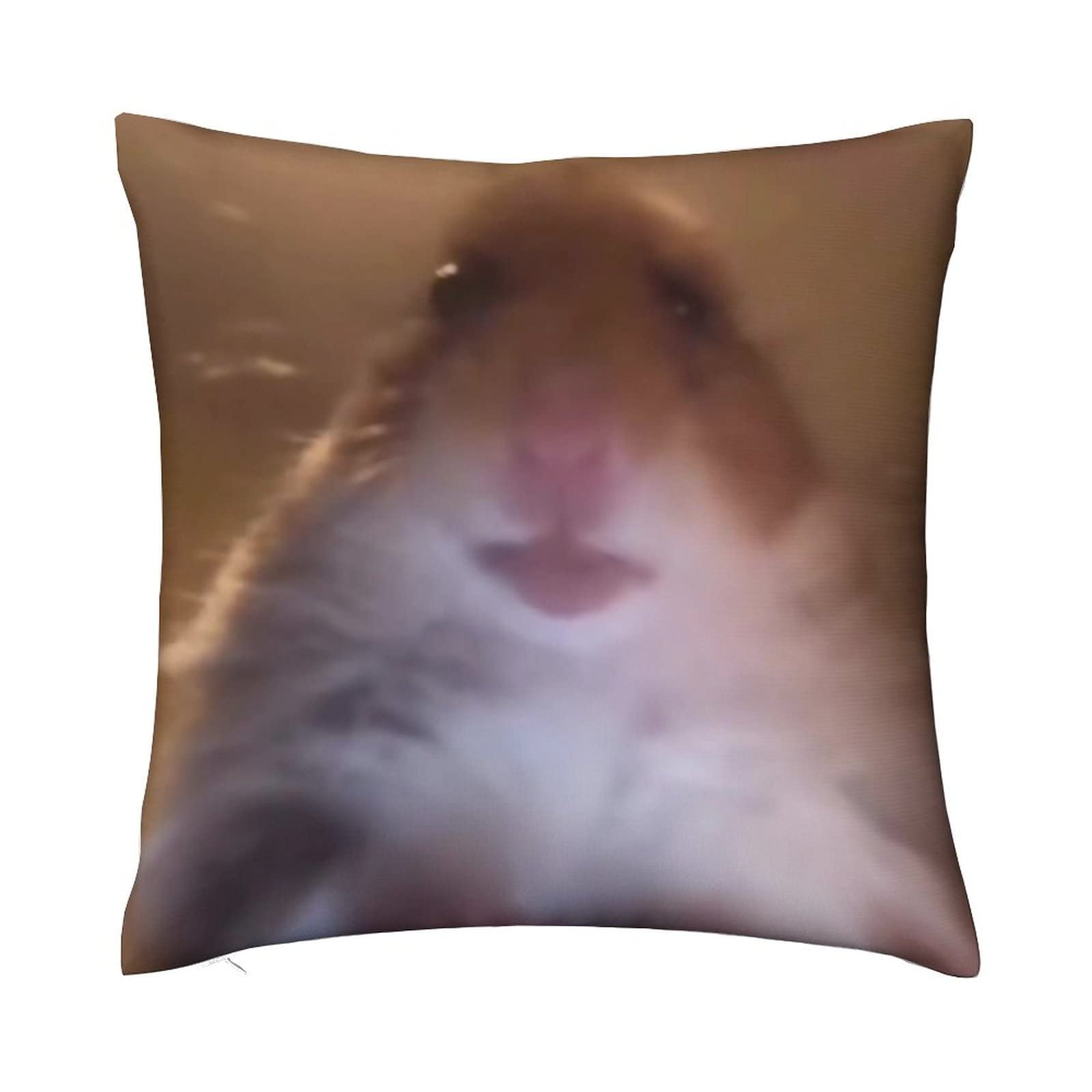 Hamster Staring Front Camera Funny Meme Animal Throw Pillow Cover Square Throw Pillowcases Home Decorative for Bed Couch Sofa Living Room Cushion Covers Funny Gift 18"X18"