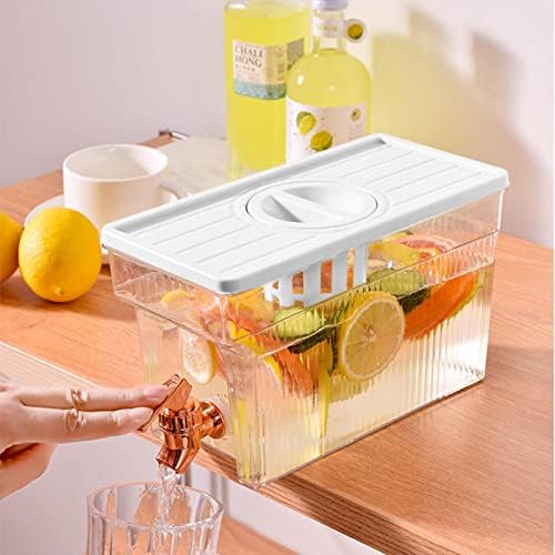 Raxove Beverage Container with Spigot, 3L Juice Container Large Iced Dinks Dispenser - Punch Dispenser -Ideal for Outdoor Picnic BBQ Parties and More