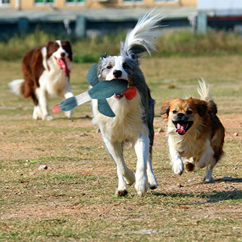 MyfatBOSS Unkaputtbares Hundespielzeug Set – 5 Stück Quietschende Plüschtiere, Unzerstörbares Hundespielzeug für Kleine und Große Hunde, Kuscheltier für Hunde, Inklusive Tierhaarentferner für Wäsche