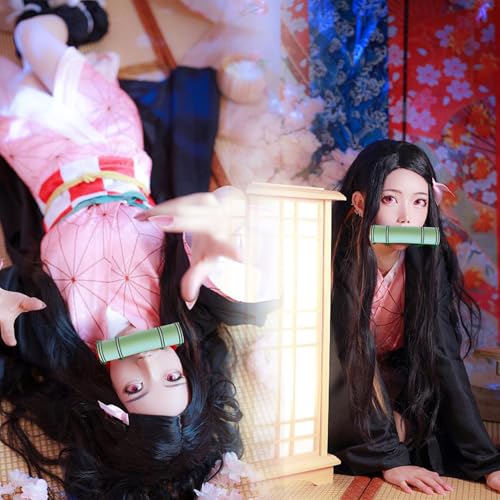 Photo complémentaire