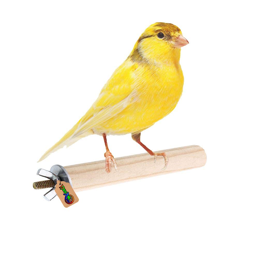 DreamAuro Natural Habitat Wooden Bird Perch/Stand/Toy (4 Inches/10 Cm) (B07X5V874P) Amazon Price History, Amazon Price Tracker