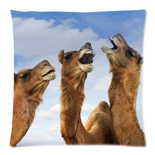 Compare Prices For Cassette Series Pillow Case Across All Amazon European Stores