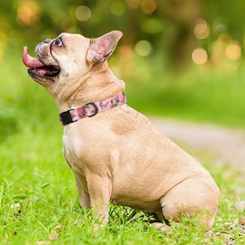 HEELE Hundehalsband, Hunde Halsband für Welpen Kleine Mittlere Große Hunde, Gemustertes Hundehalsbänder Verstellbares, Komfort, Robustem HundeHalsband, Rosa, M